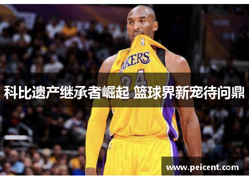 科比遗产继承者崛起 篮球界新宠待问鼎